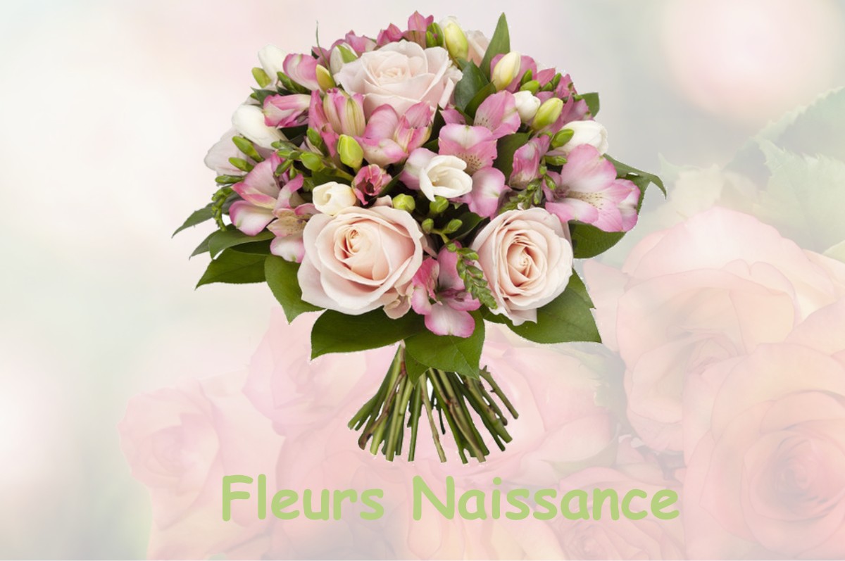 fleurs naissance MAIZERAY