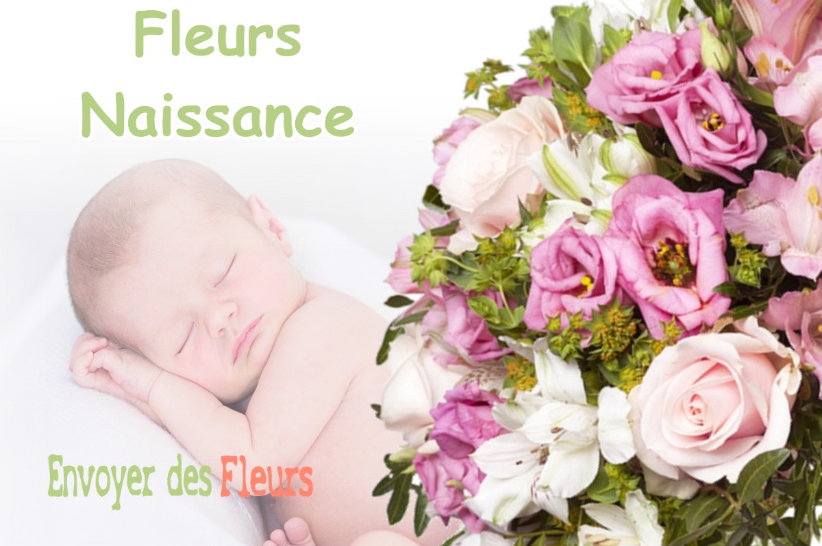 lIVRAISON FLEURS NAISSANCE à MAIZERAY